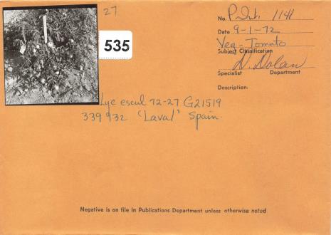 Click for 2 image(s) for this accession. Field